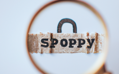 Shopify’s Impact on E-commerce and Online Retail